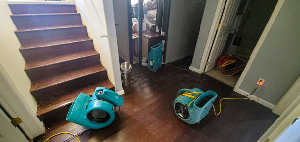 Best Mold removal after water damage  in Ardmore, AL