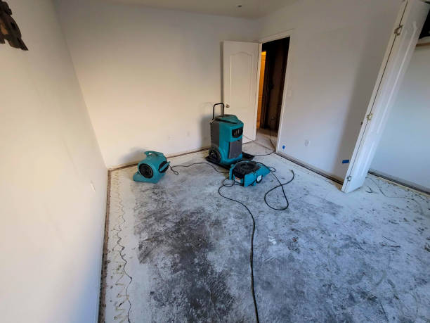 Best Water damage restoration experts  in Ardmore, AL