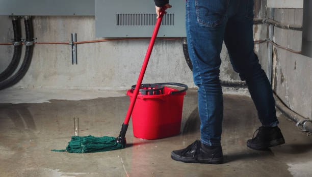 Best Water damage cleanup near me  in Ardmore, AL