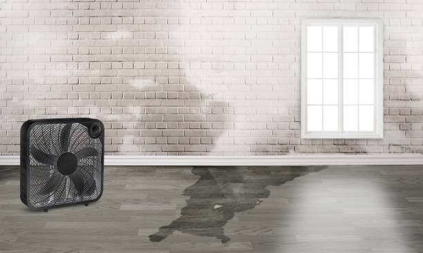 Best Residential water damage restoration  in Ardmore, AL