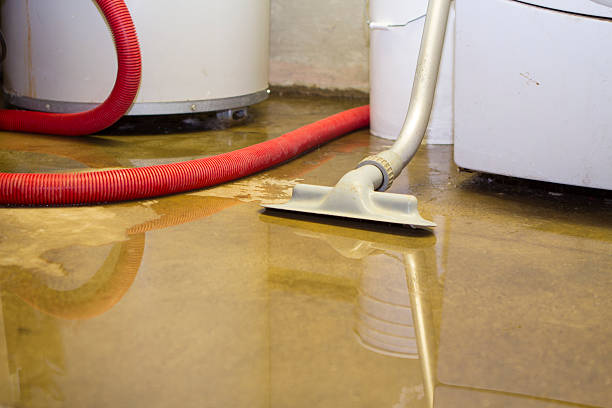 Best Local water damage restoration  in Ardmore, AL