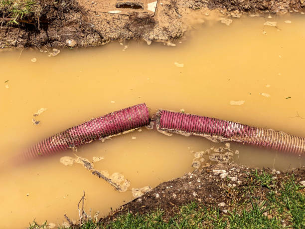 Best Professional water damage repair  in Ardmore, AL