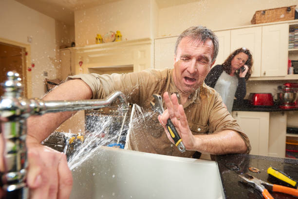 Best Flood restoration services  in Ardmore, AL